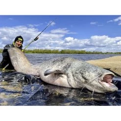 Canne Silure Black Cat Perfect Passion XH-S (462g - 3m00 - Max 350g - 2 - 150cm) -Matériel De Pêche canne silure black cat perfect passion xh s 462g 3m00 max 350g 2 150cm 3