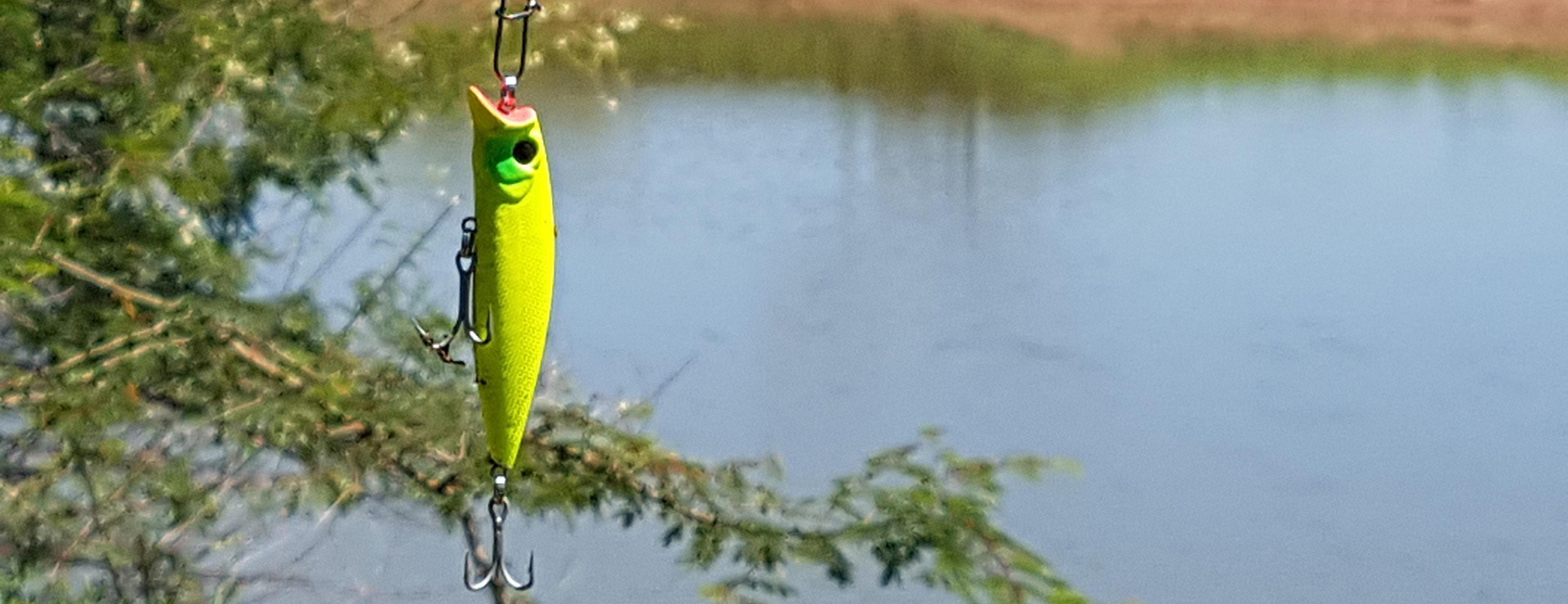 Matériel De Pêche 1 Matériel De Pêche -Matériel De Pêche lure 6333535 1920