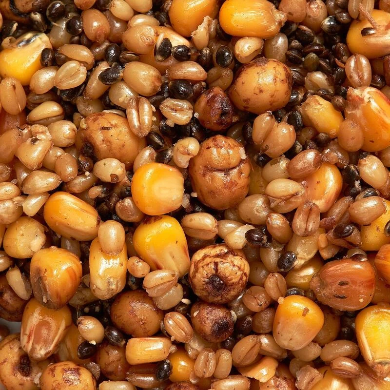 Mélange Graines Cuites 1kg Graines Pêche De La Carpe 4 Mélange Graines Cuites 1kg Graines Pêche De La Carpe – Image 2