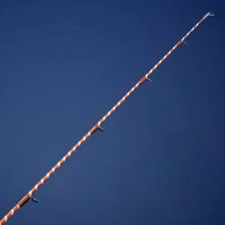 SAV Scion De Rechange Pêche Au Posé Léger SEACOAST LIGHT 500 300 HYBRID